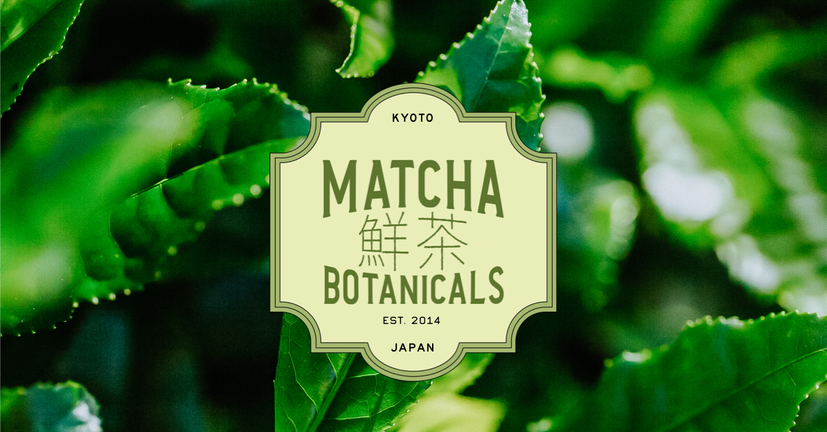 Guide de la cérémonie du thé Matcha : Comprendre la signification et l –  Matcha Botanicals