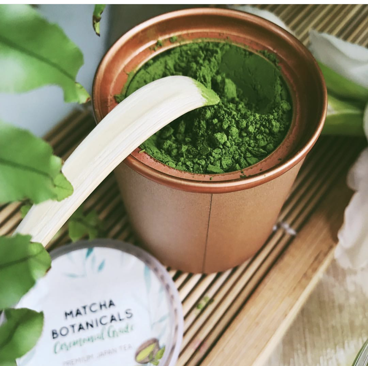 Cuillère à Matcha en bambou - Matcha Botanicals